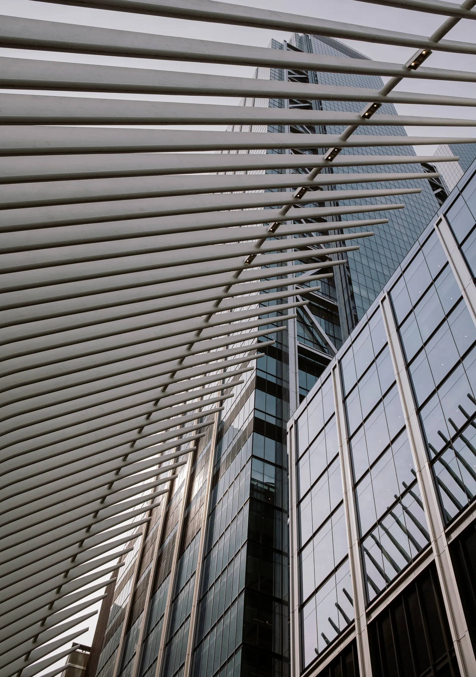 New York, photo 1 of 25