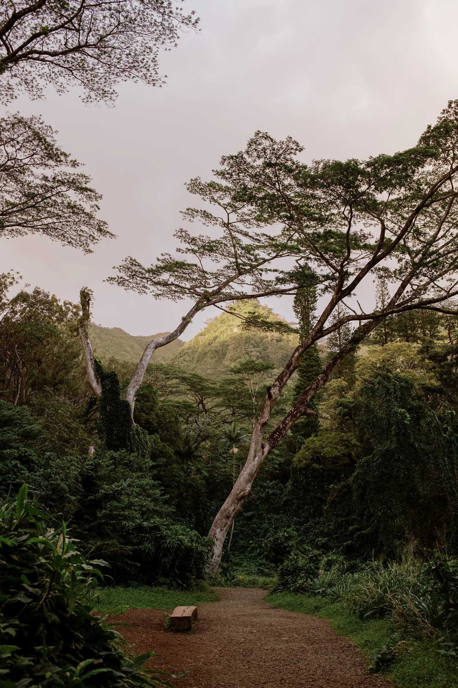 Oahu, photo 3 of 12