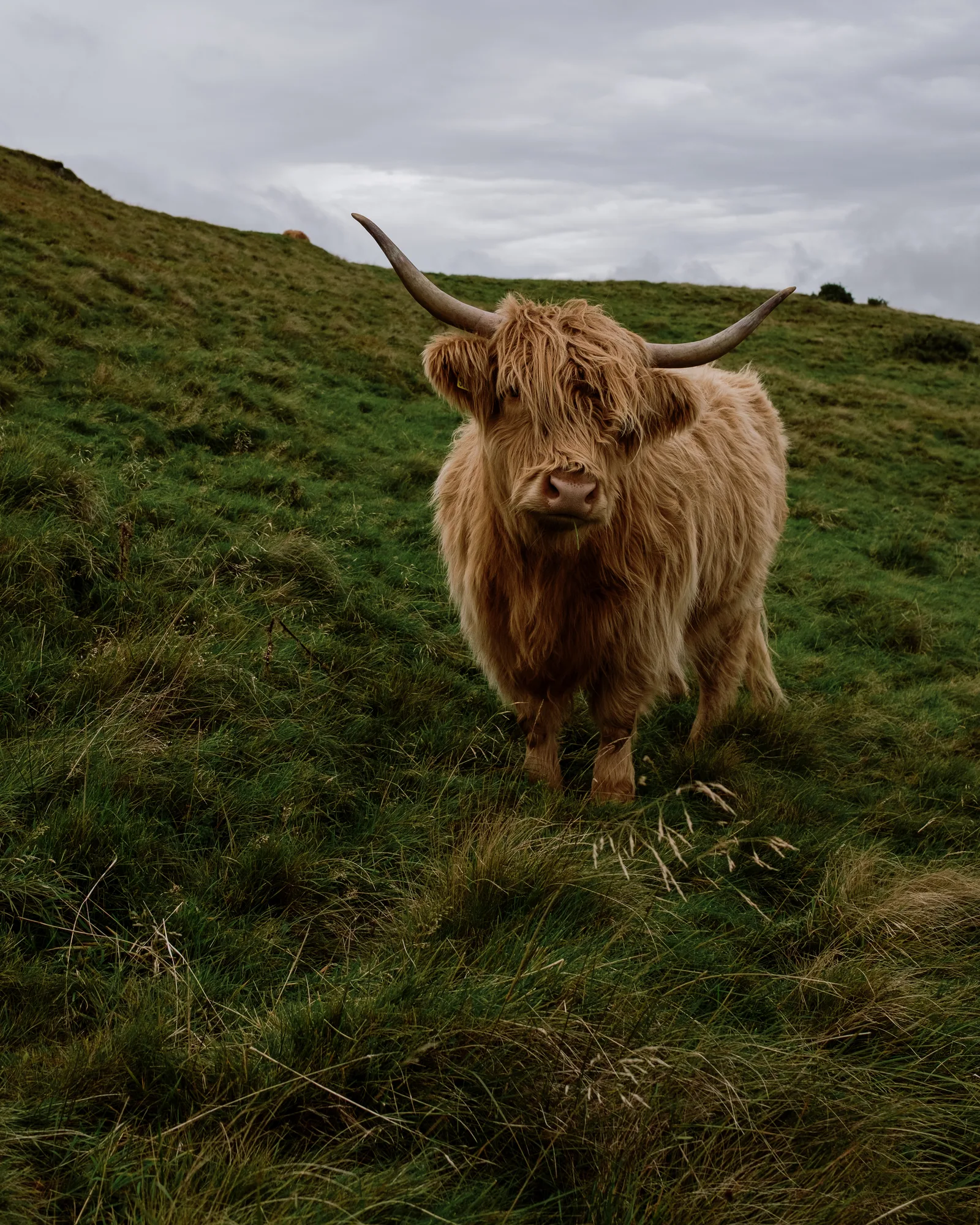 Edinburgh, photo 5 of 14
