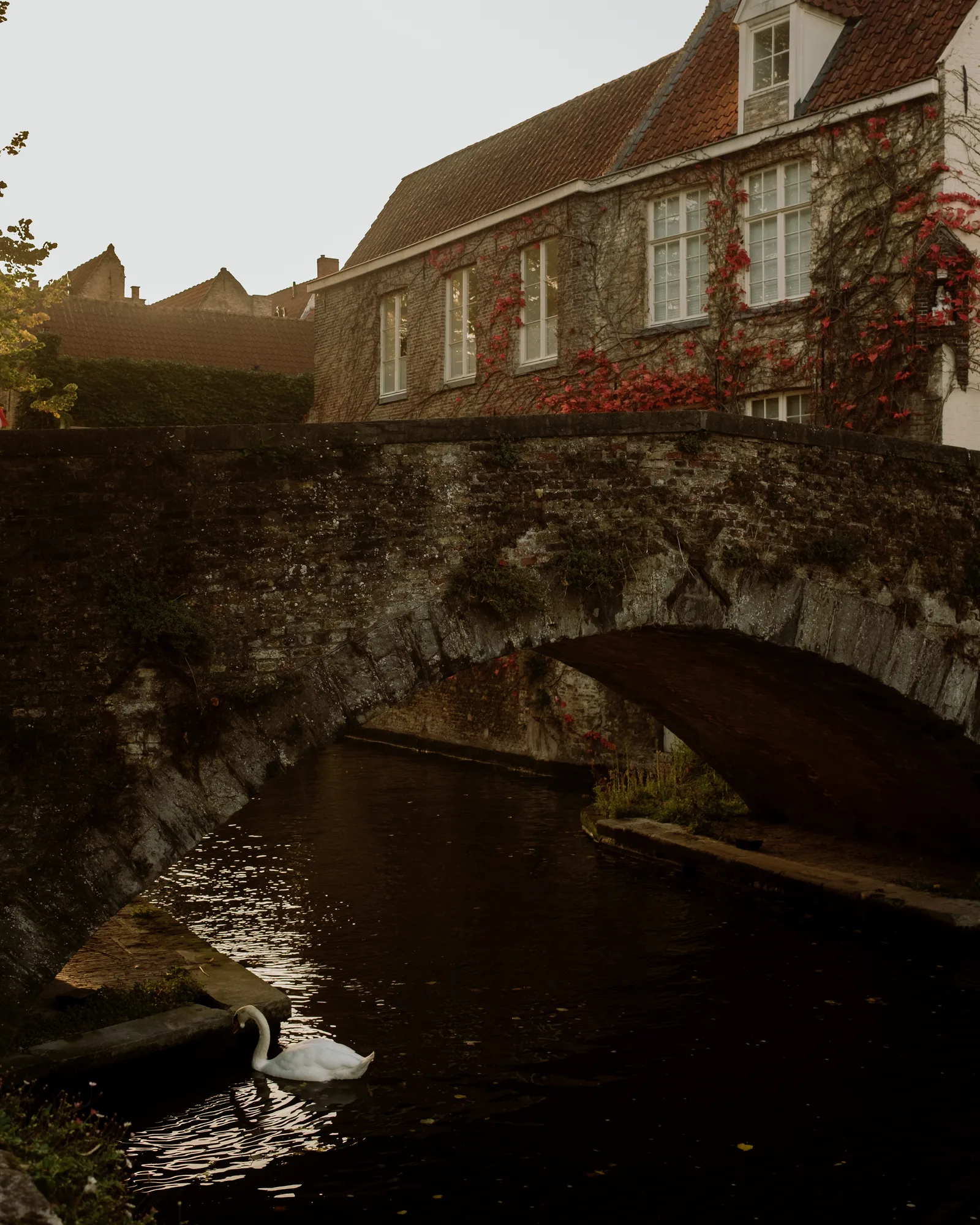 Bruges, photo 5 of 6
