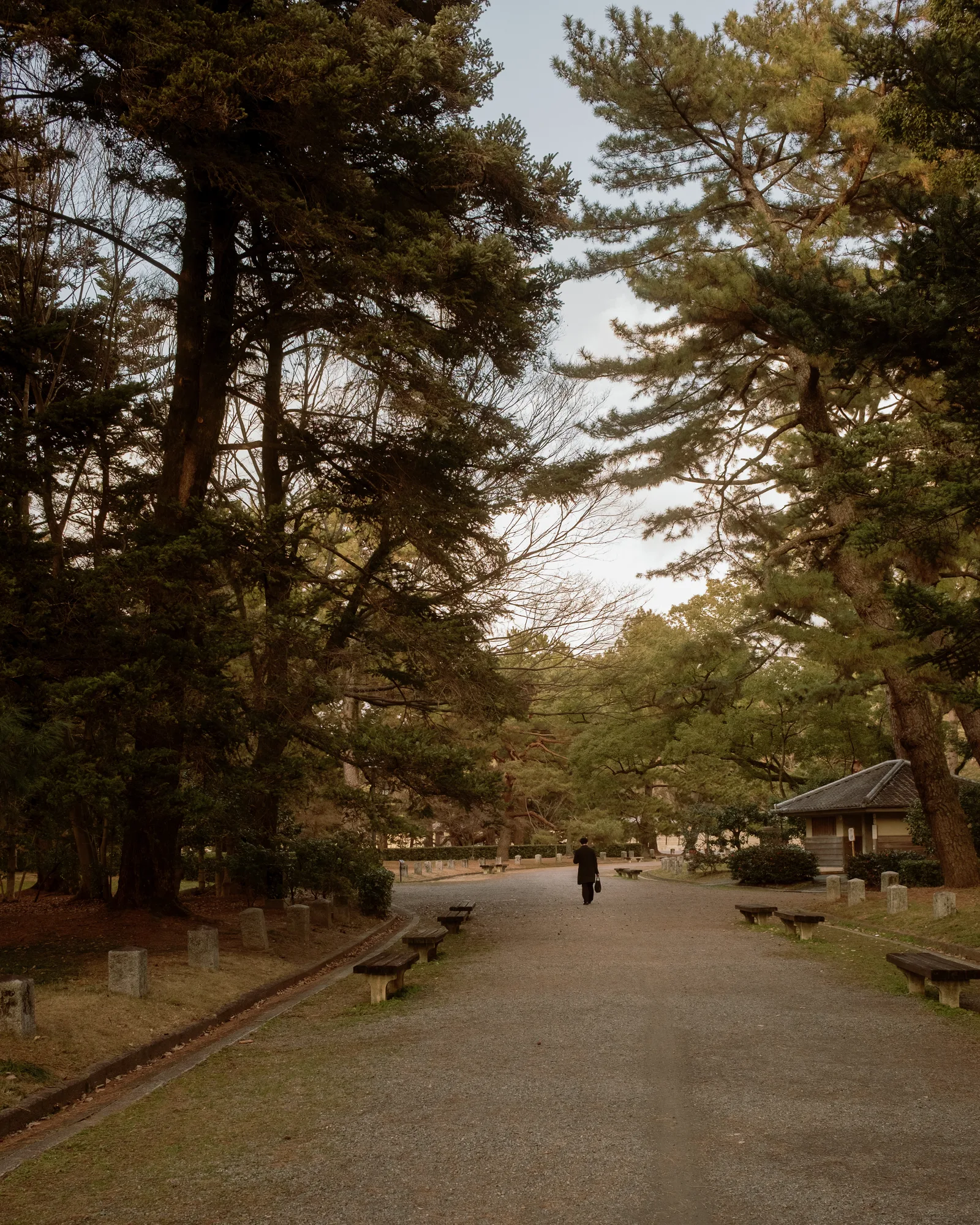 Kyoto, photo 6 of 44