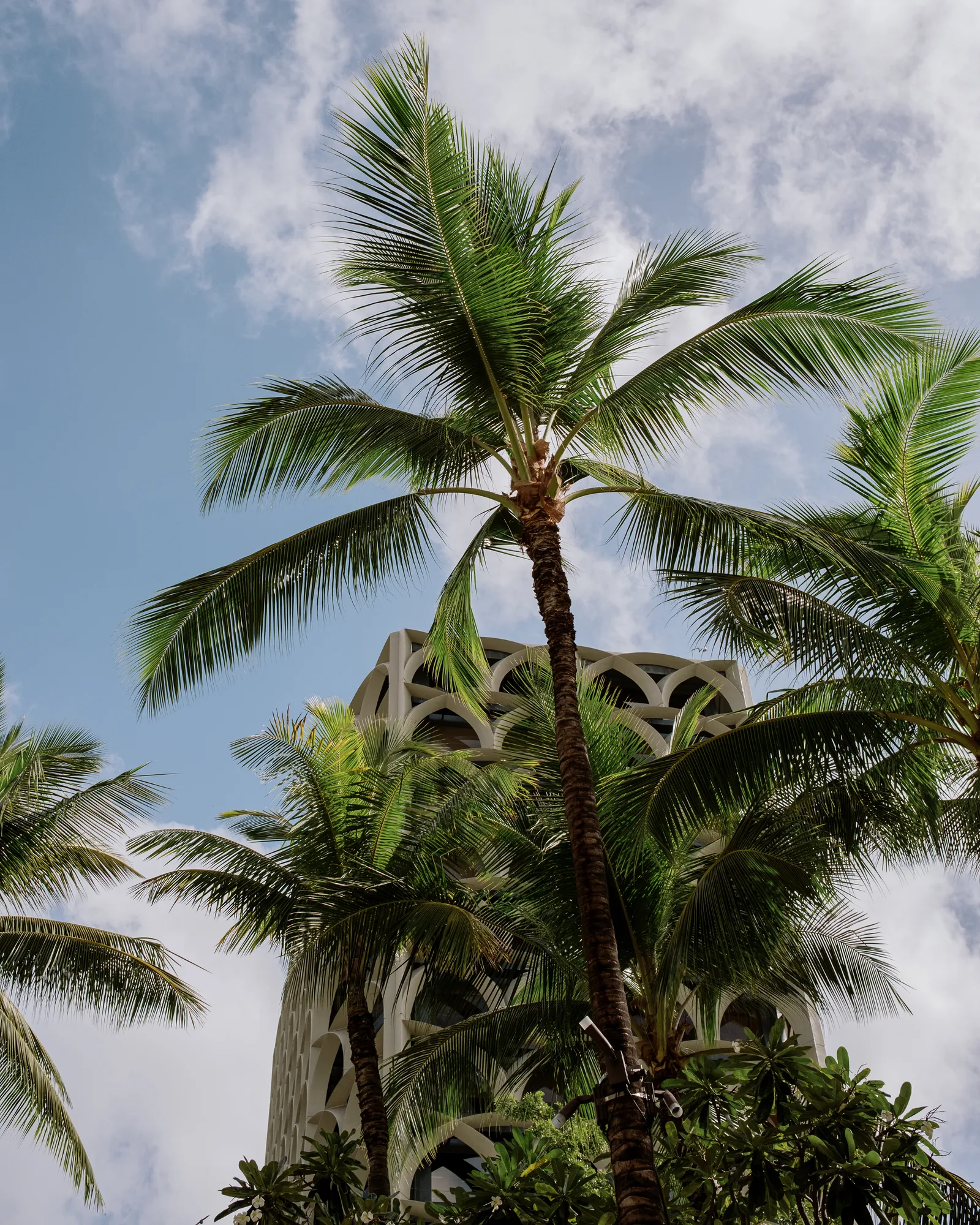 Oahu, photo 7 of 12