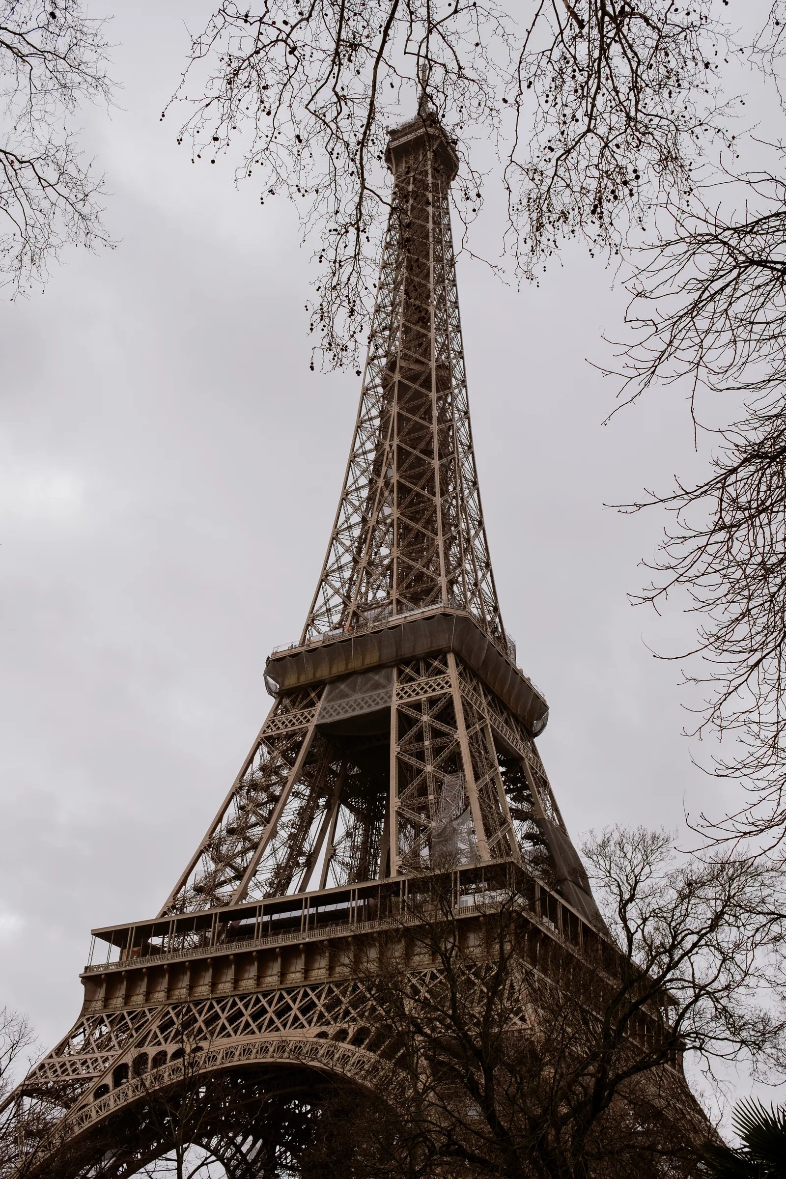 Paris, photo 8 of 18