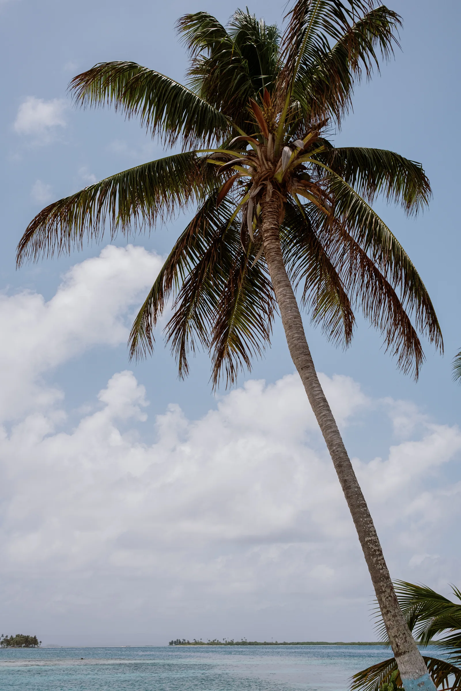 Panama, photo 8 of 11