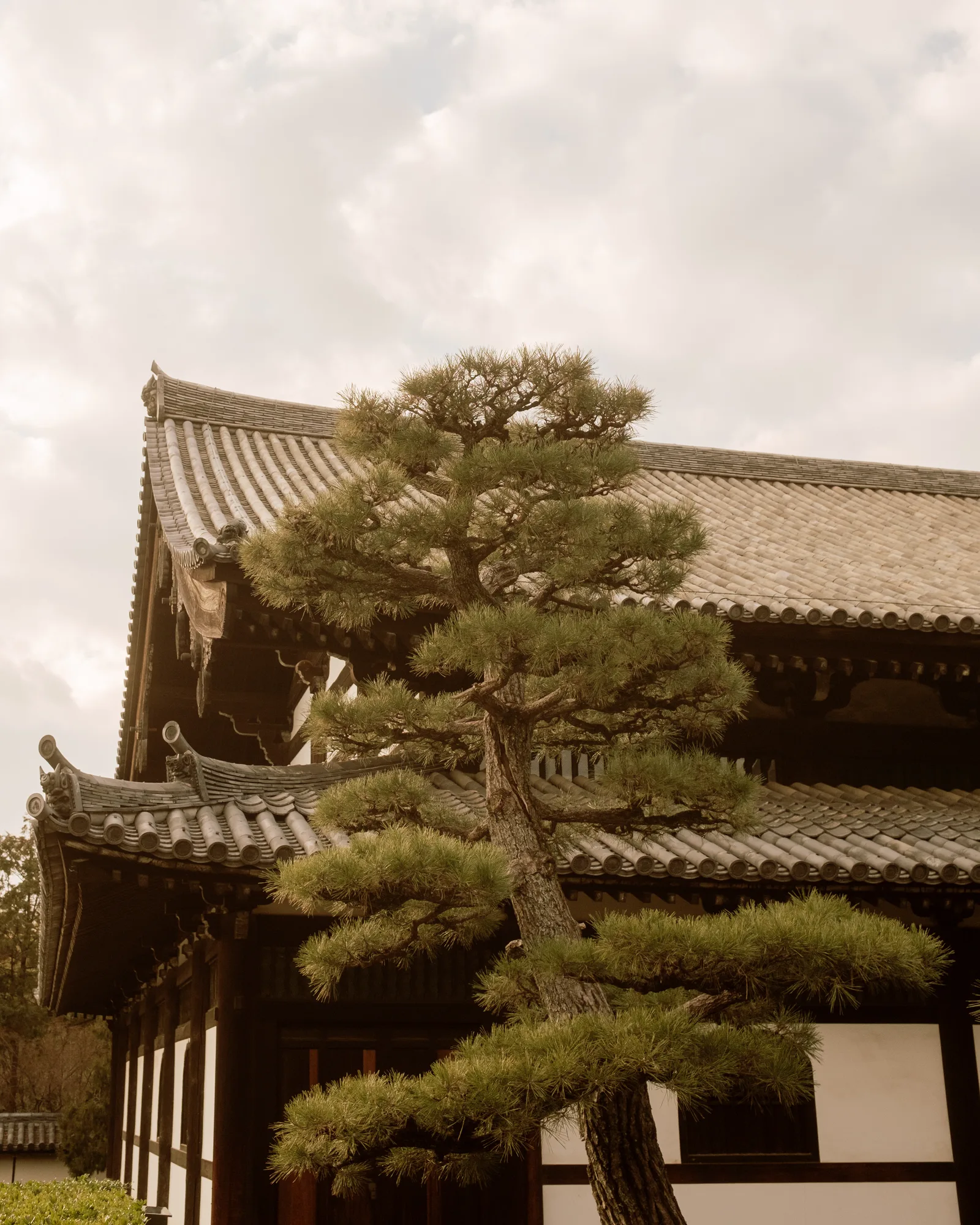 Kyoto, photo 8 of 44