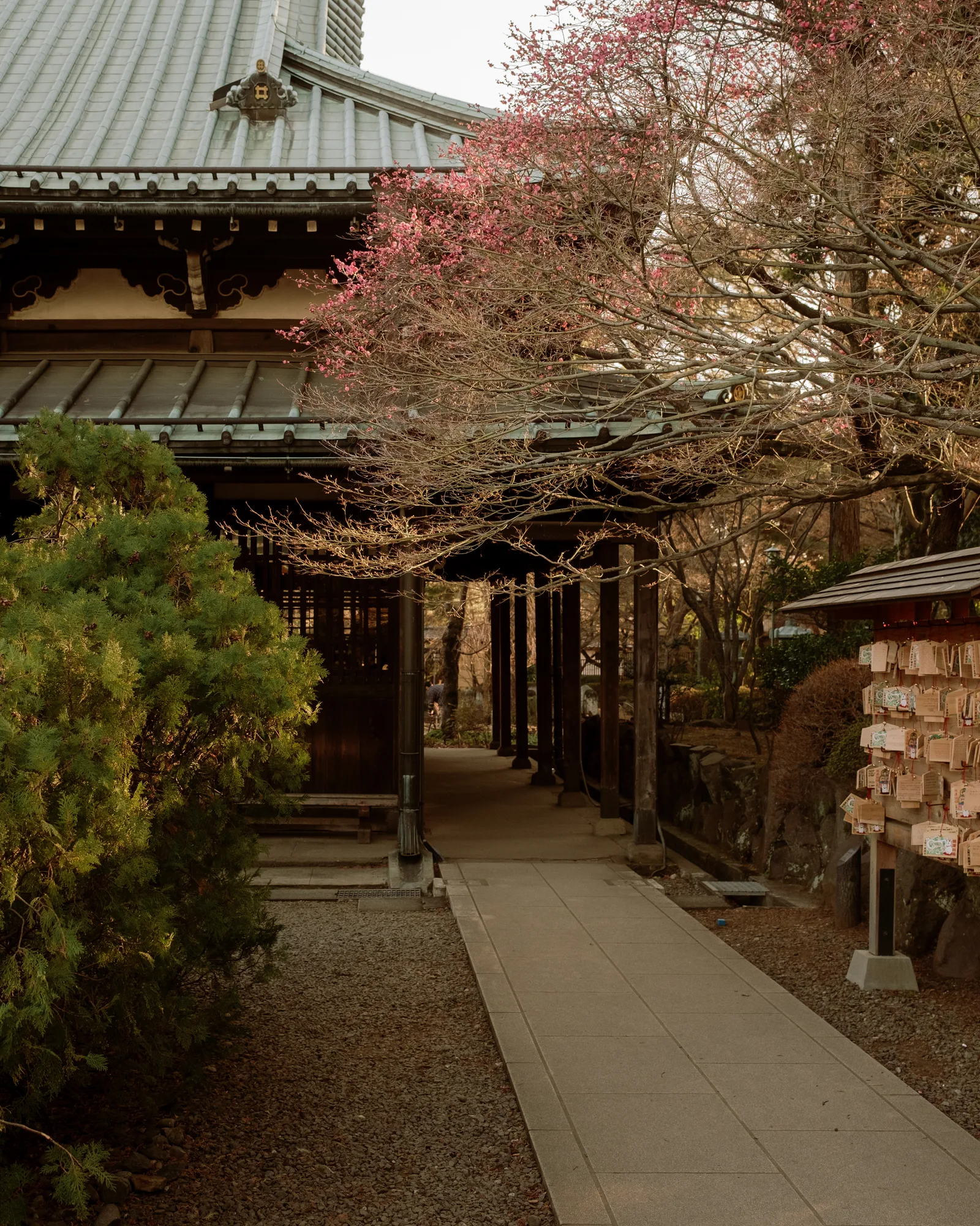 Tokyo, photo 10 of 25