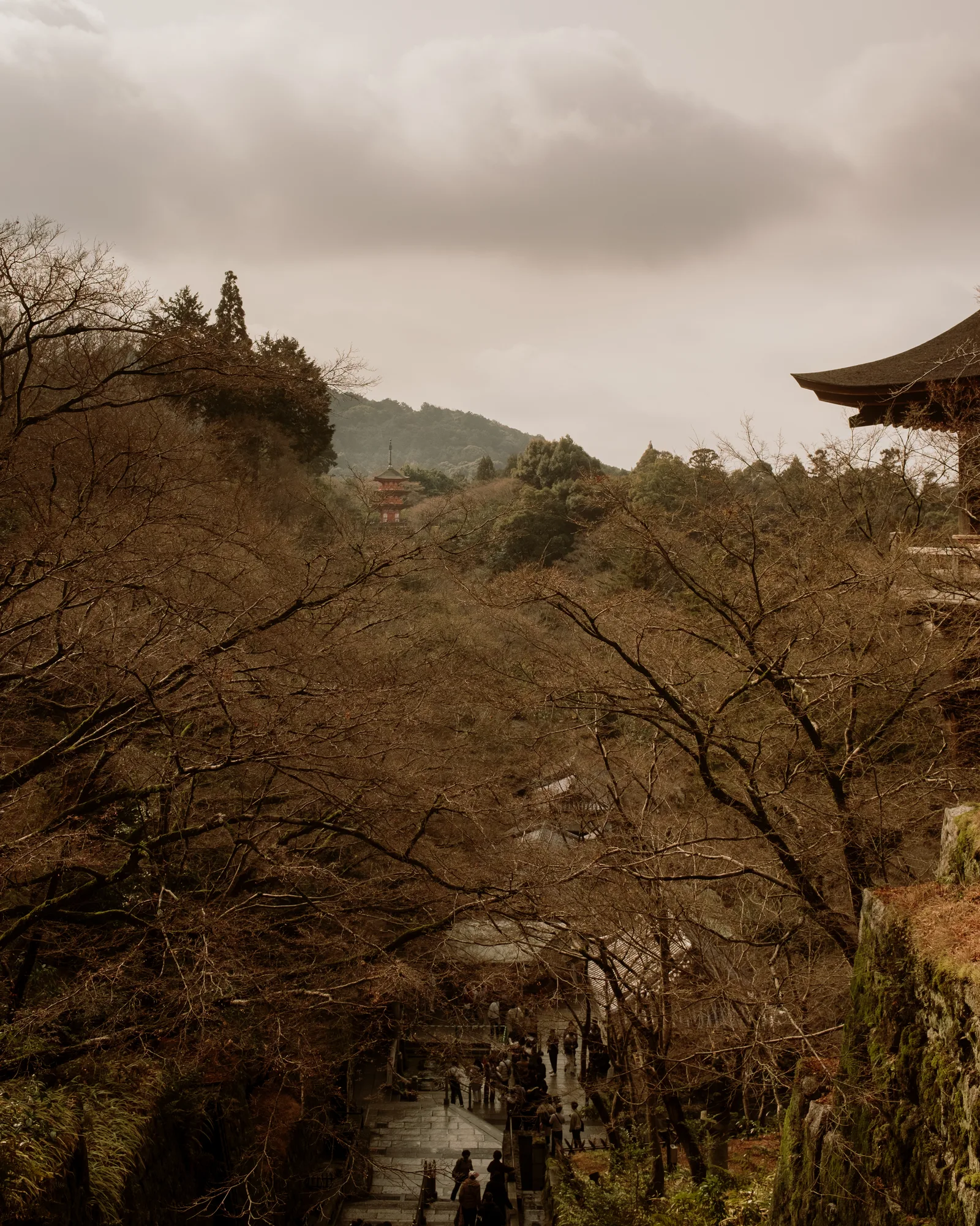 Kyoto, photo 10 of 44