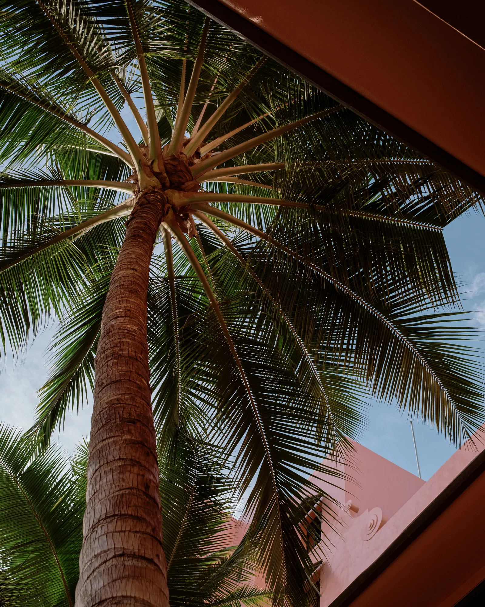 Oahu, photo 11 of 12