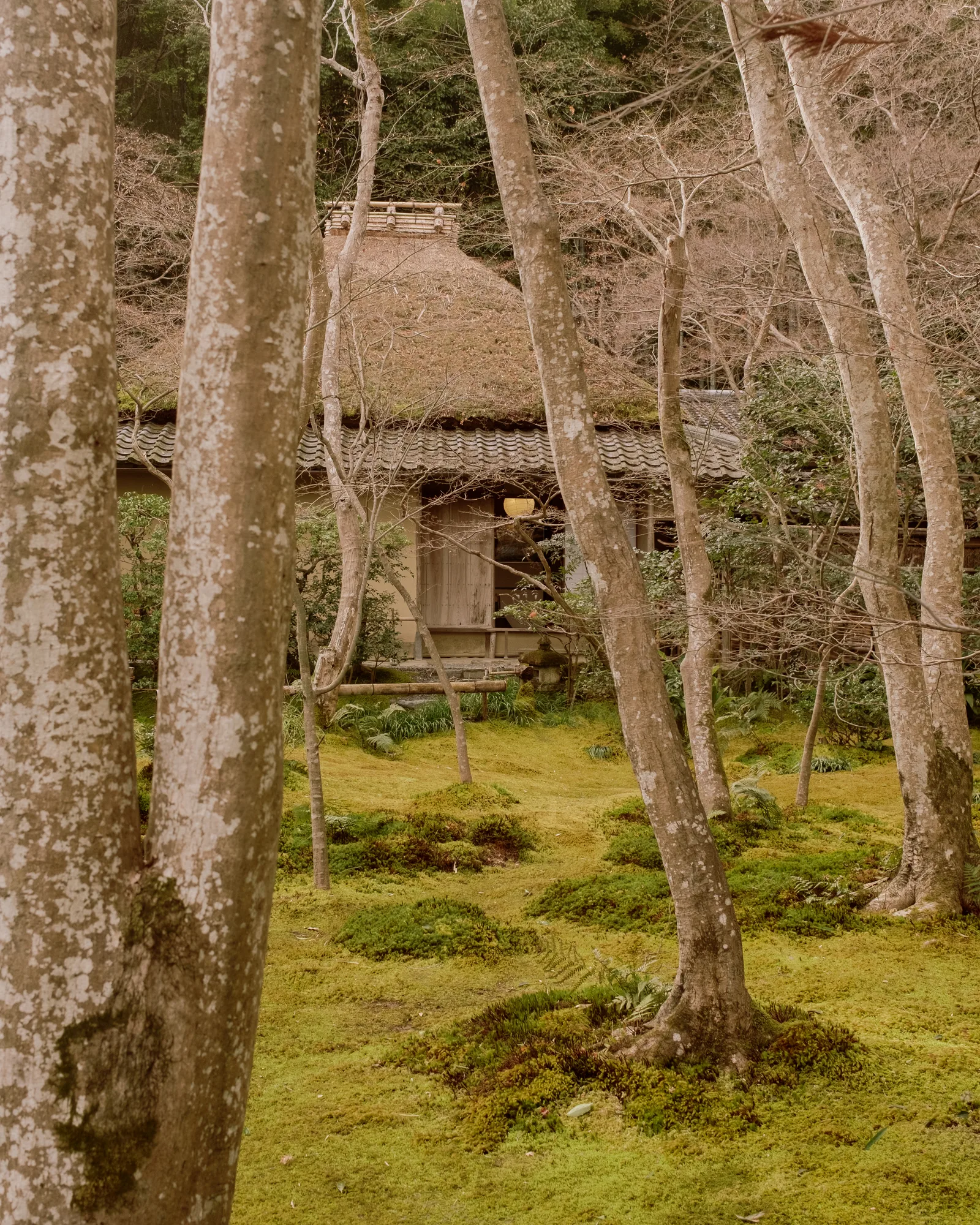 Kyoto, photo 11 of 44