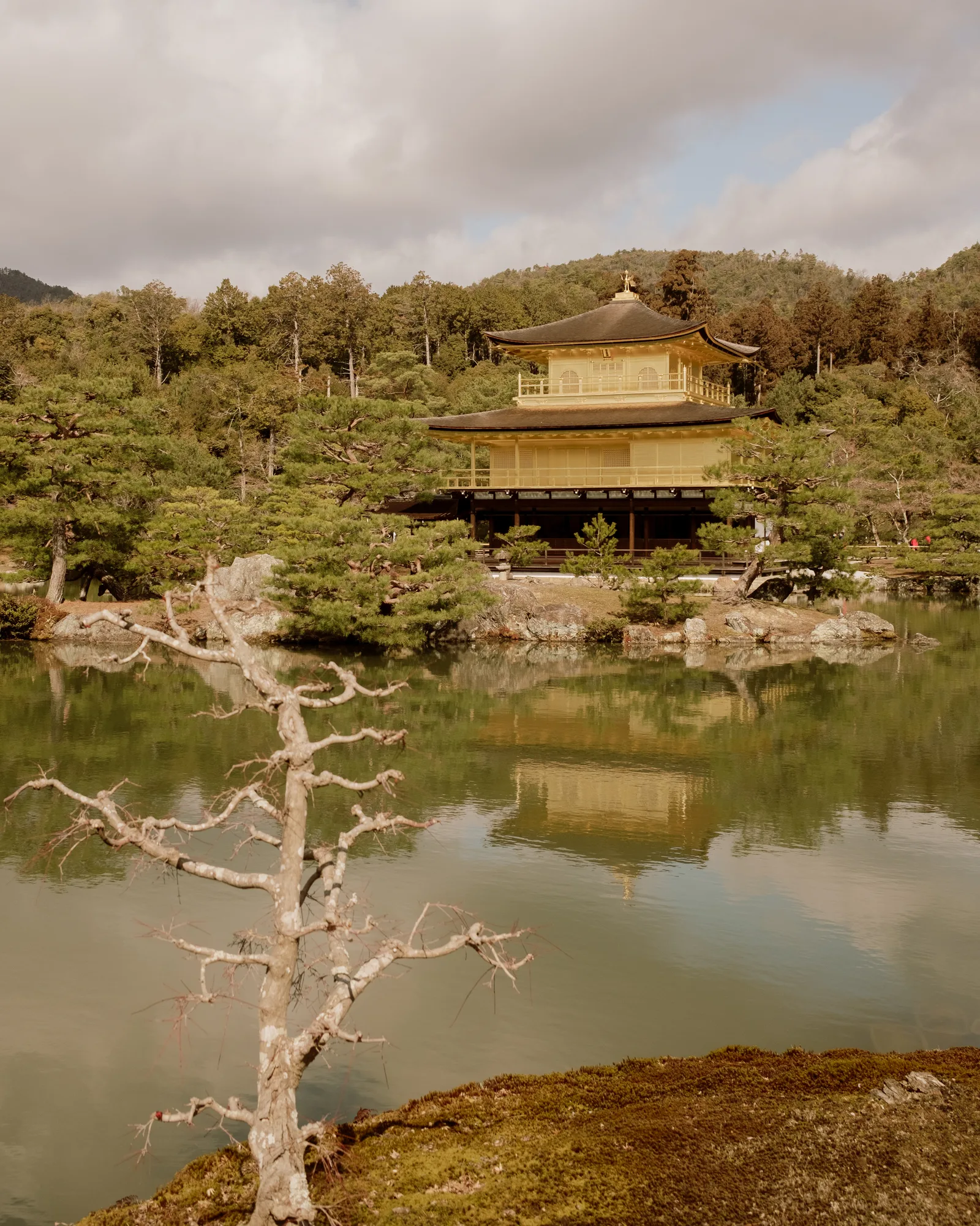 Kyoto, photo 19 of 44
