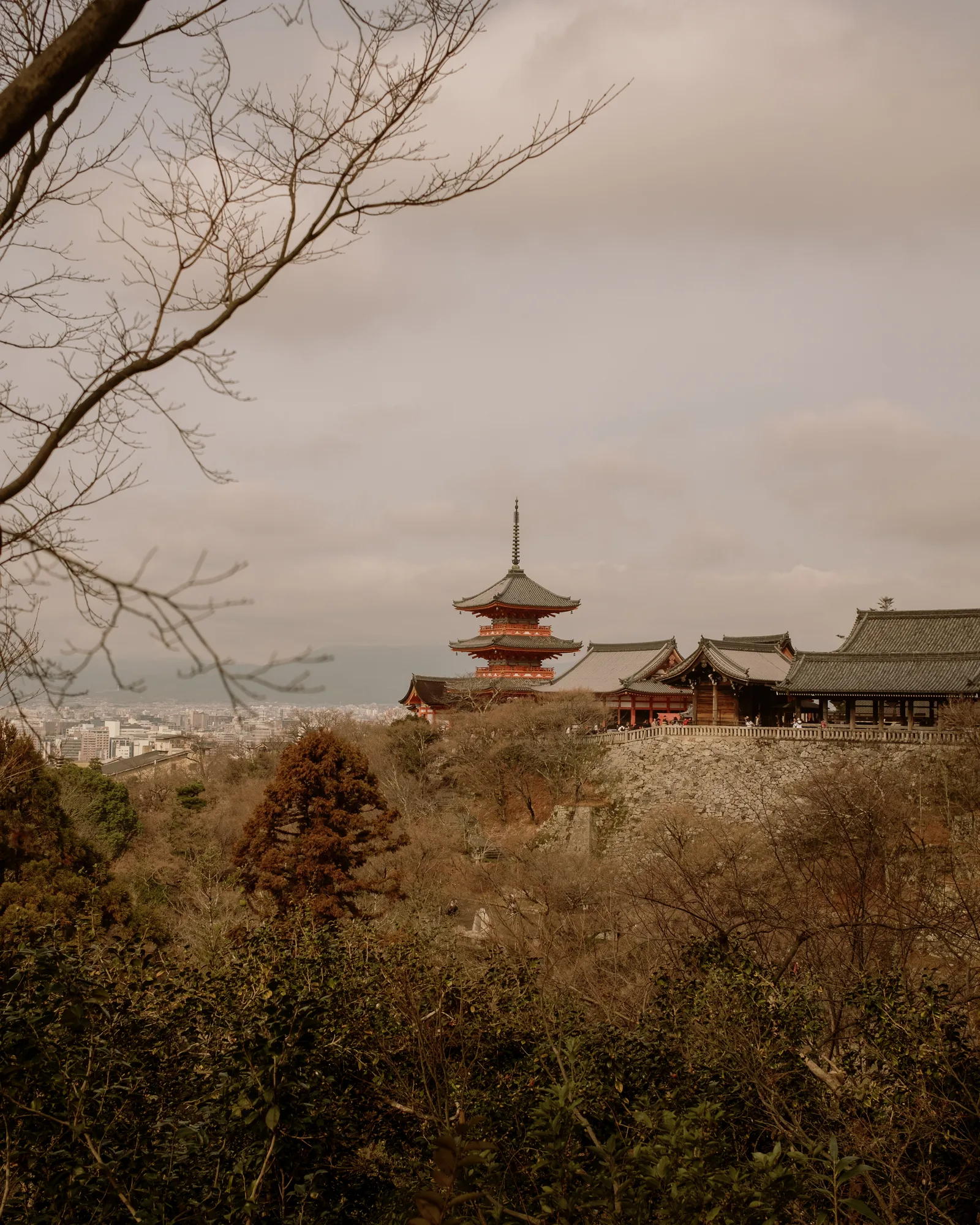 Kyoto, photo 23 of 44