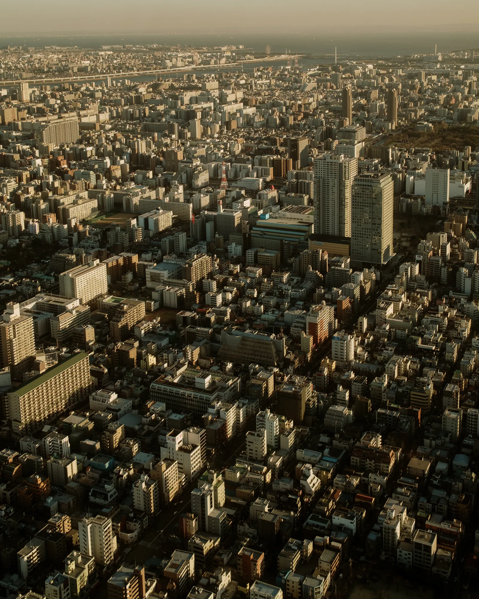 Tokyo, photo 25 of 25