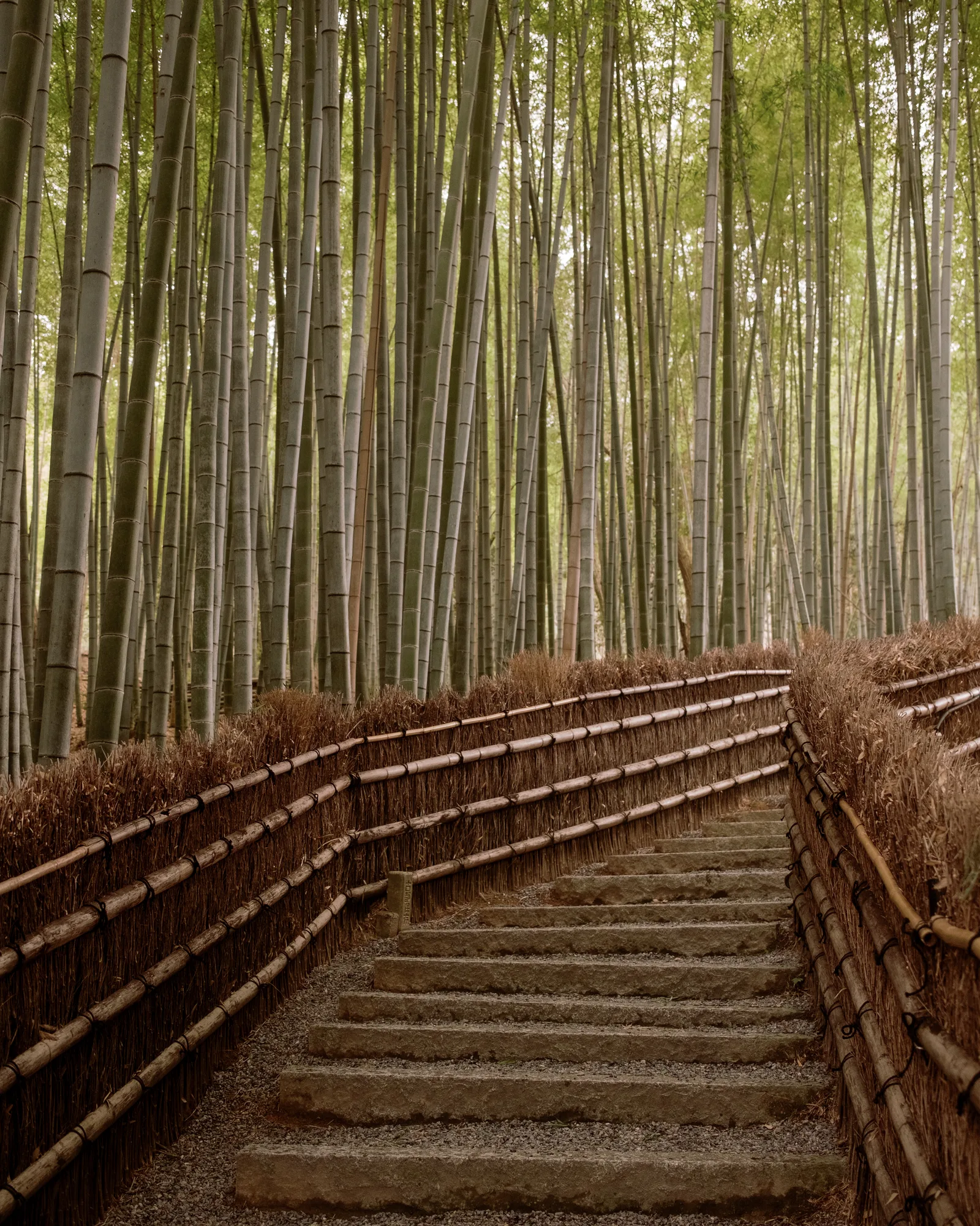 Kyoto, photo 37 of 44