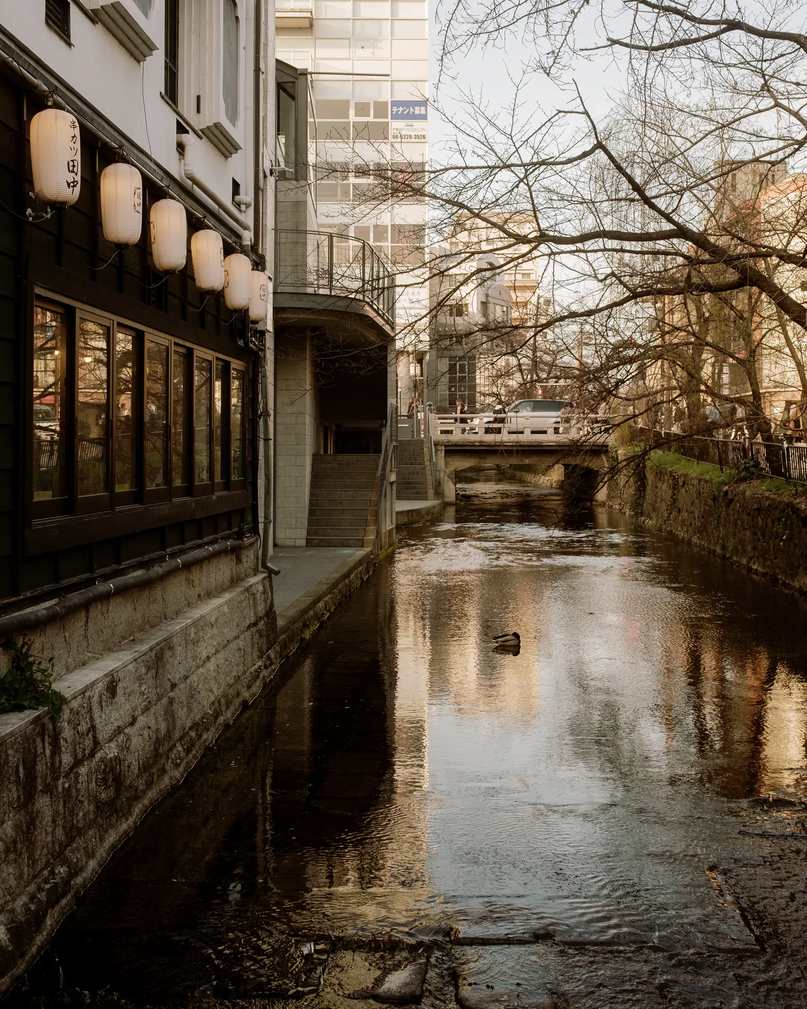 Kyoto, photo 38 of 44